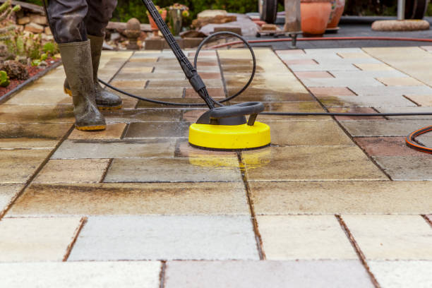 Best House Exterior Washing  in Egan, LA